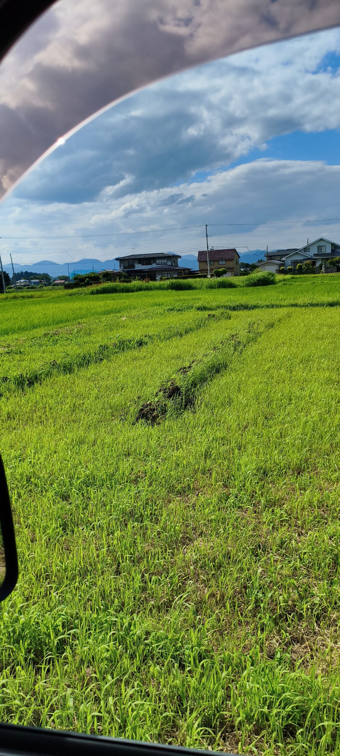岩手県花巻市の豊かな自然環境