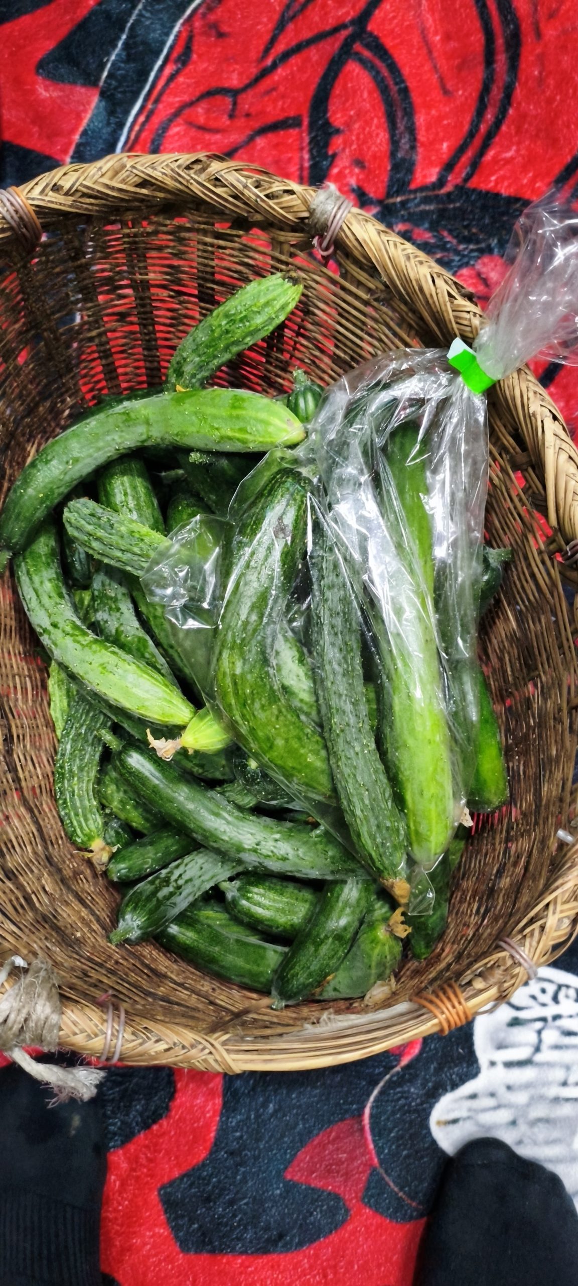 心真農園のきゅうりと野菜の収穫作業
