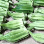心真農園で収穫したオクラを並べたところ