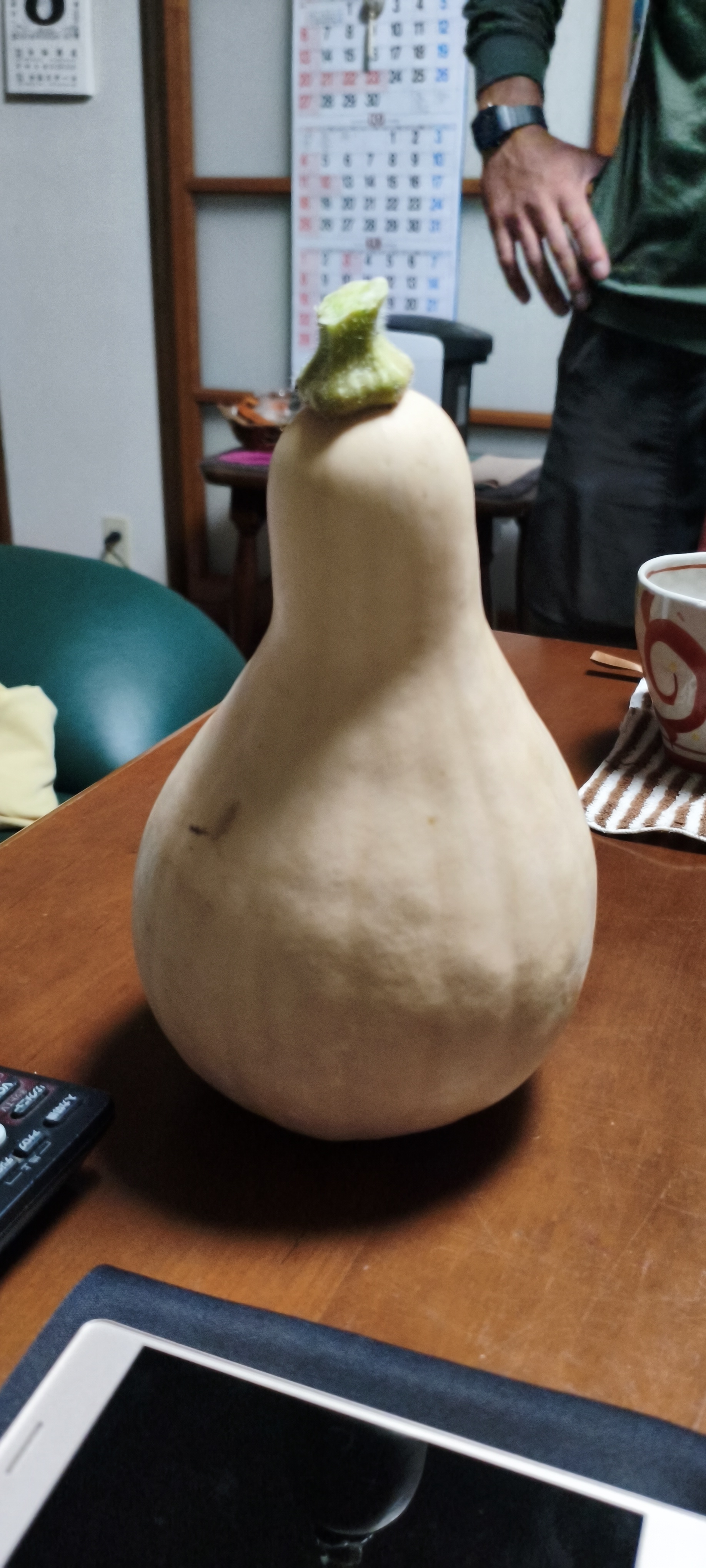 ほったらかしの畑で育ったバターナッツかぼちゃ